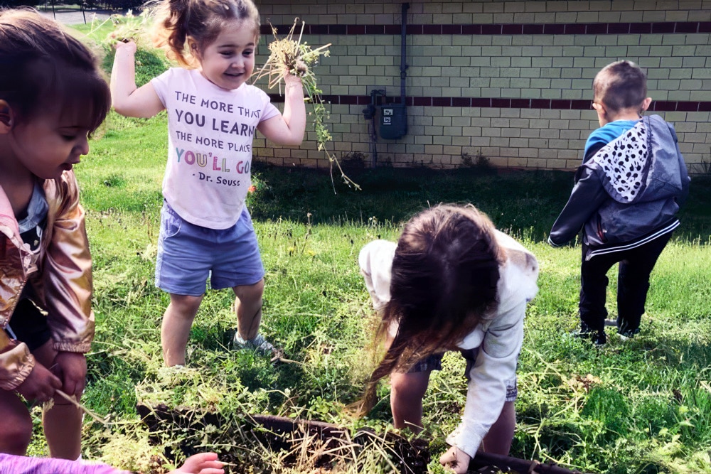 Outdoor Science Center And Gardening Every Day